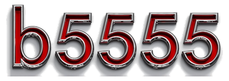 b5555 logo